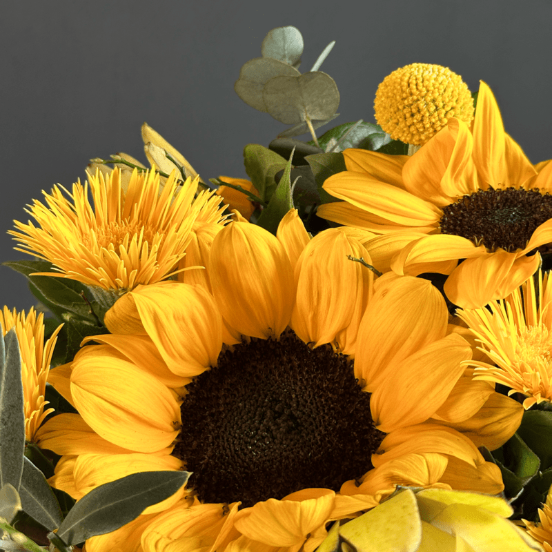 L’amore fiorisce - immagine 2