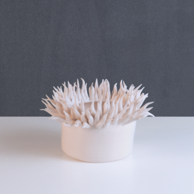 Flumea